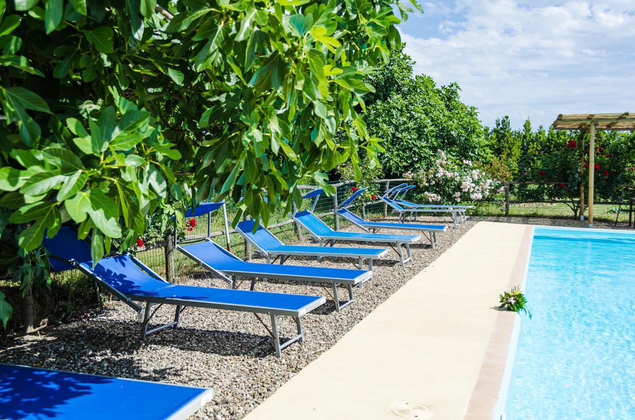 Agriturismo Il Roseto 마리나디그로세토 외부 사진