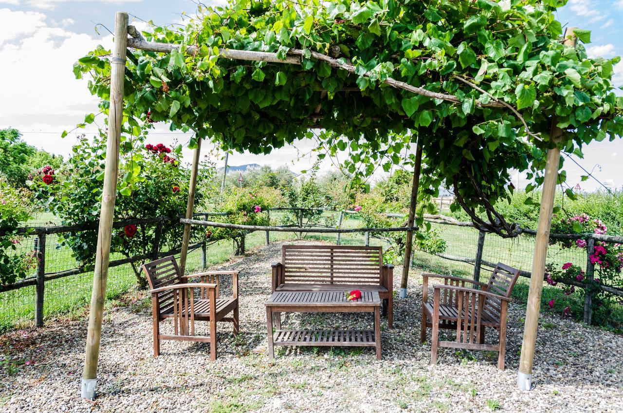 Agriturismo Il Roseto 마리나디그로세토 외부 사진